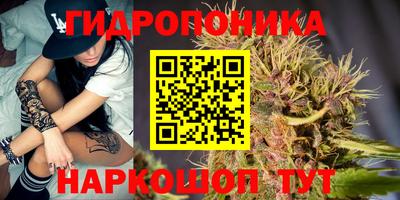 дурь Бийск