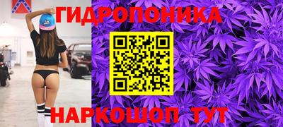 метадон Берёзовский