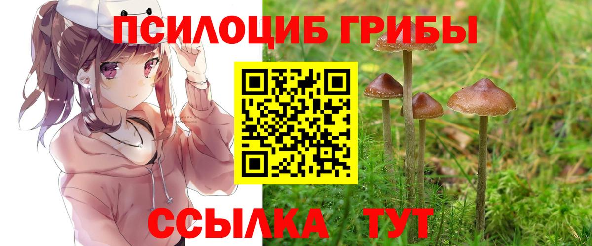 Псилоцибиновые грибы GOLDEN TEACHER  Псилоцибиновые грибы мухоморы  Кириши  Вход с VPN 